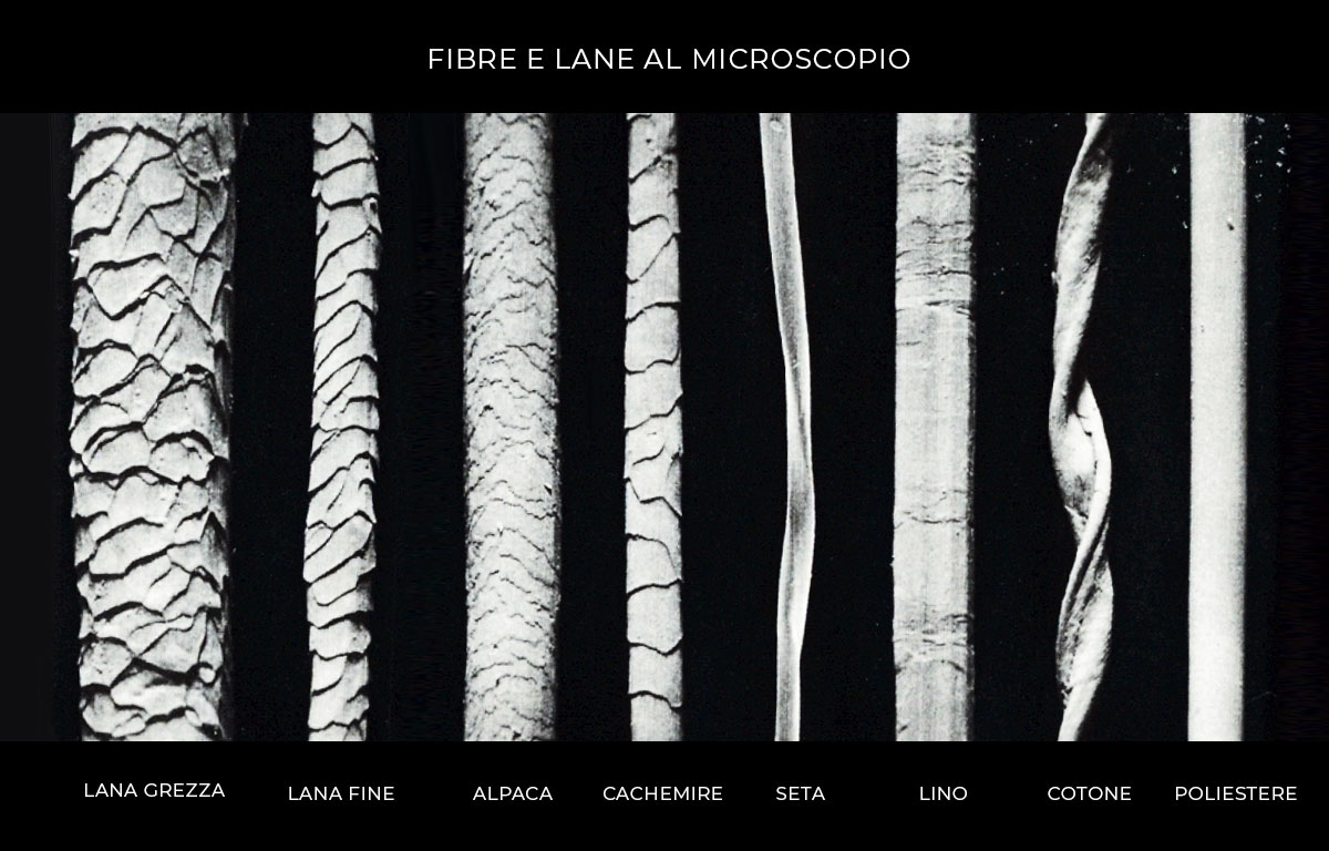 fibre-a-microscopio