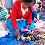 Donna peruviana vende tuberi al mercato