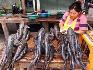 pesci dall'aspetto primordiale venduti al mercato