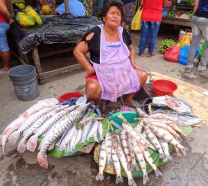 donna che vende pesce al mercato